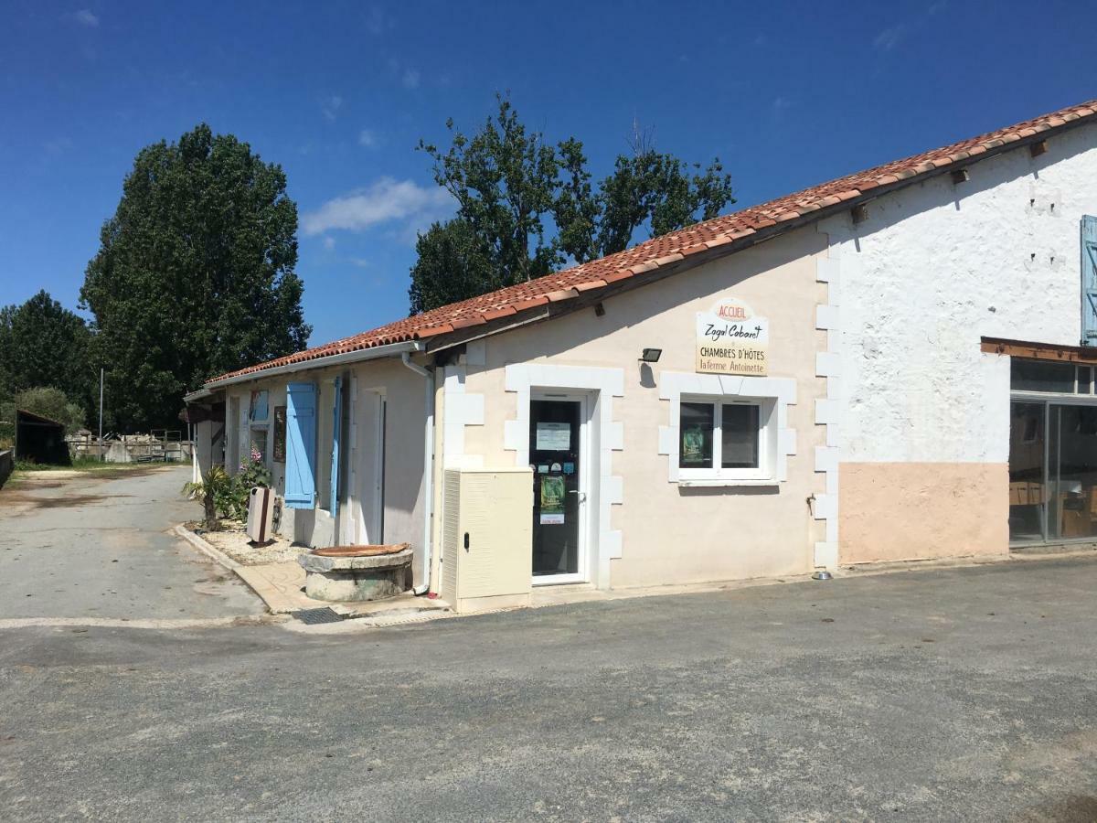 La Ferme Antoinette Hotel Les Mathes Kültér fotó